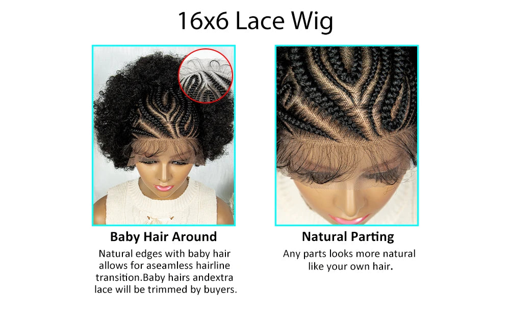 Braided 13x6 Lace Front Wig With Baby Hair