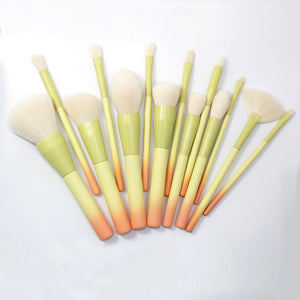 Pro Gradient 14pcs Makeup Brush Set