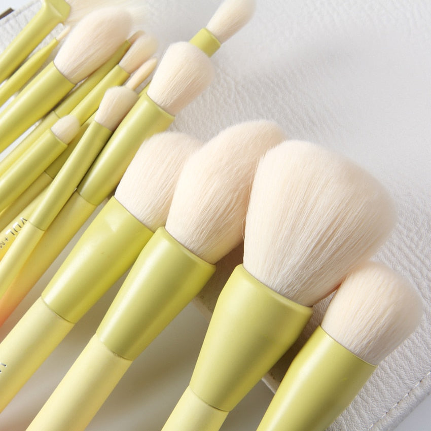 Pro Gradient 14pcs Makeup Brush Set