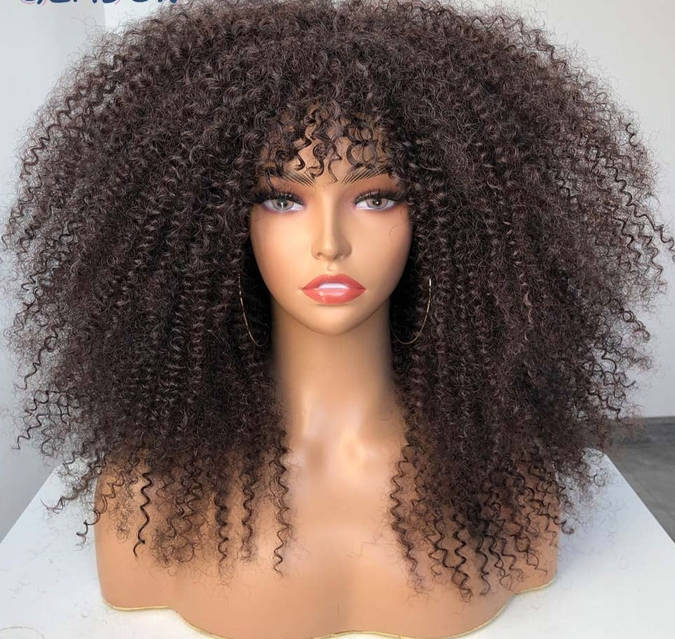 Afro Curly Wig With Bangs