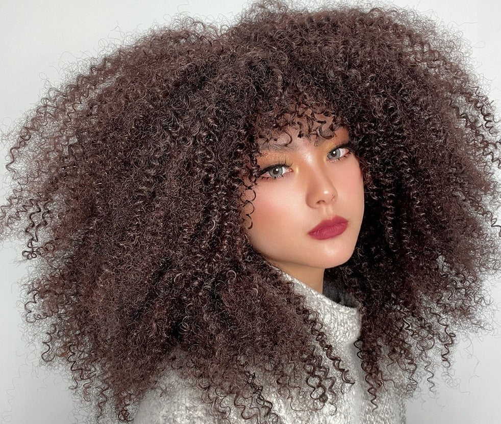 Afro Curly Wig With Bangs