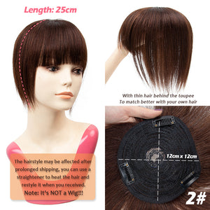 3D Blunt Cut Bangs Clip